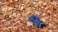 Волонтеры или полиция: кто эффективнее ищет пропавших в Казахстане