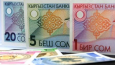 Кыргызстан на грани банкротства: Почему спасение в экологии?