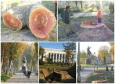 «Все начинают понимать необходимость сохранения экологии». Интервью с хокимом Ташкента